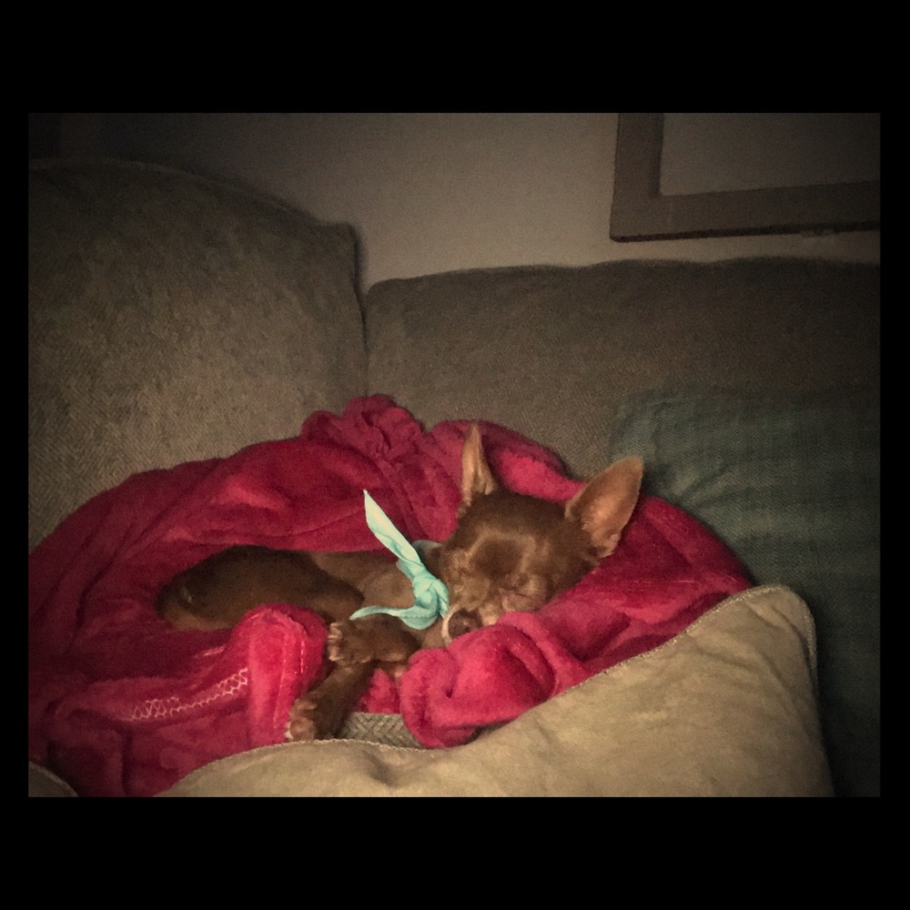 Meet your Posher, Cindy